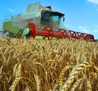 Как увеличить прибыль современного сельхозпредприятия?