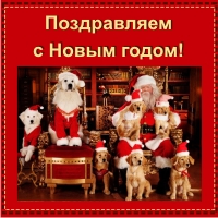 Поздравляем вас с Новым годом! Поздравляем вас с Новым годом!